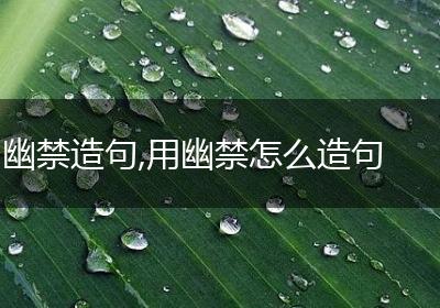 幽禁造句,用幽禁怎么造句