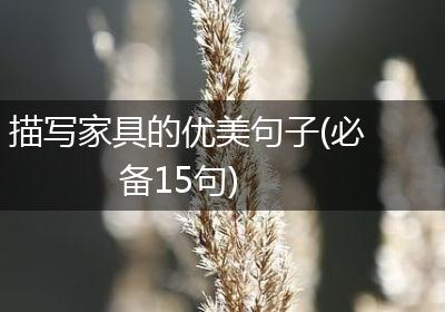描写家具的优美句子(必备15句)