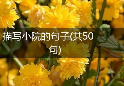 描写小院的句子(共50句)