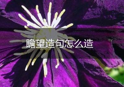 瞻望造句怎么造