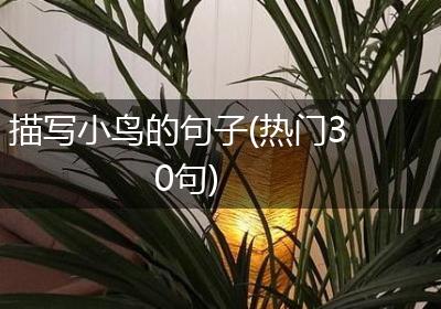 描写小鸟的句子(热门30句)