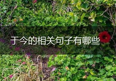 于今的相关句子有哪些