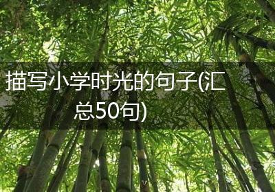 描写小学时光的句子(汇总50句)