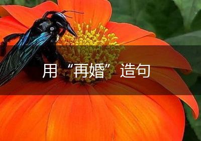 用“再婚”造句