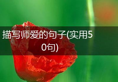 描写师爱的句子(实用50句)