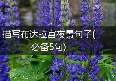 描写布达拉宫夜景句子(必备5句)
