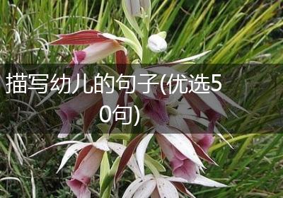 描写幼儿的句子(优选50句)