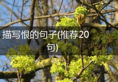 描写恨的句子(推荐20句)