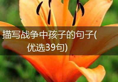 描写战争中孩子的句子(优选39句)