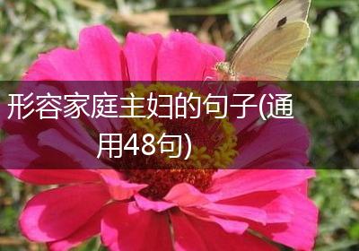 形容家庭主妇的句子(通用48句)