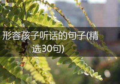 形容孩子听话的句子(精选30句)