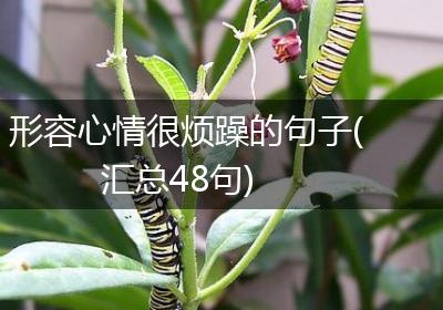 形容心情很烦躁的句子(汇总48句)