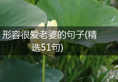 形容很爱老婆的句子(精选51句)