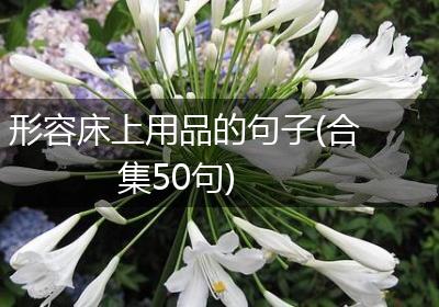 形容床上用品的句子(合集50句)