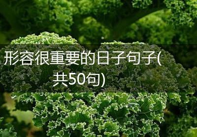 形容很重要的日子句子(共50句)