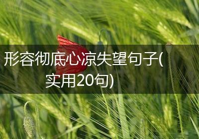 形容彻底心凉失望句子(实用20句)