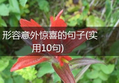 形容意外惊喜的句子(实用10句)