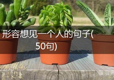 形容想见一个人的句子(50句)