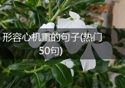 形容心机重的句子(热门50句)