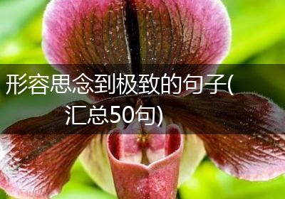 形容思念到极致的句子(汇总50句)
