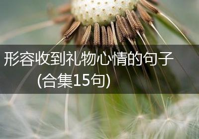 形容收到礼物心情的句子(合集15句)