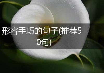 形容手巧的句子(推荐50句)