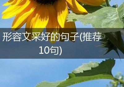 形容文采好的句子(推荐10句)