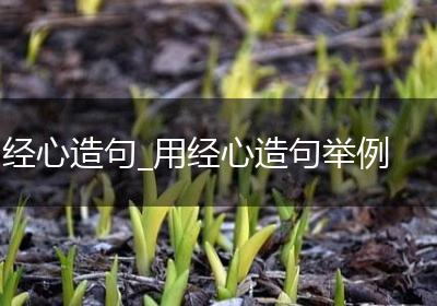 经心造句_用经心造句举例