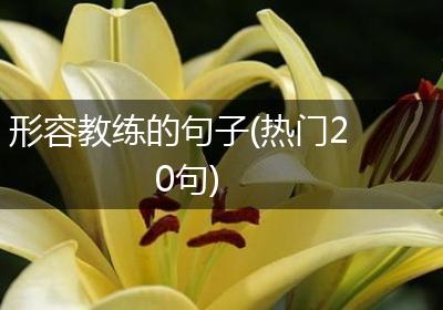形容教练的句子(热门20句)