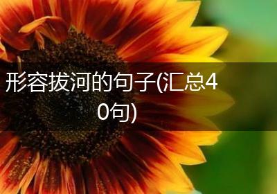 形容拔河的句子(汇总40句)