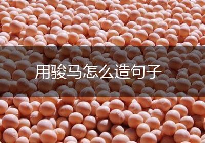 用骏马怎么造句子
