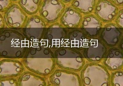 经由造句,用经由造句