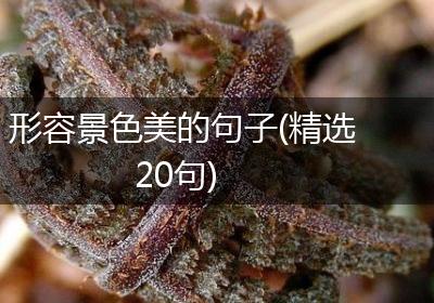 形容景色美的句子(精选20句)