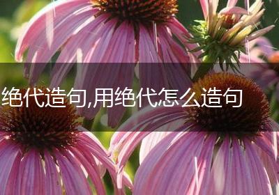 绝代造句,用绝代怎么造句