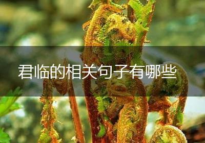 君临的相关句子有哪些