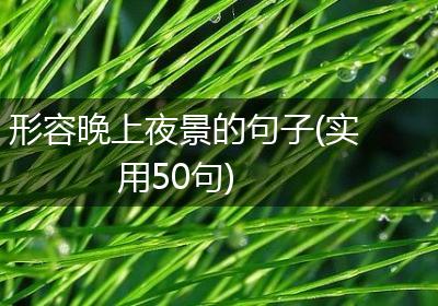 形容晚上夜景的句子(实用50句)