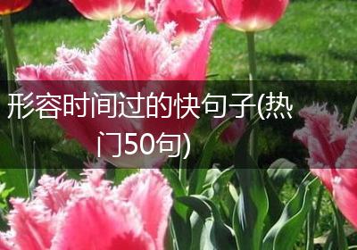 形容时间过的快句子(热门50句)