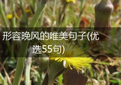 形容晚风的唯美句子(优选55句)