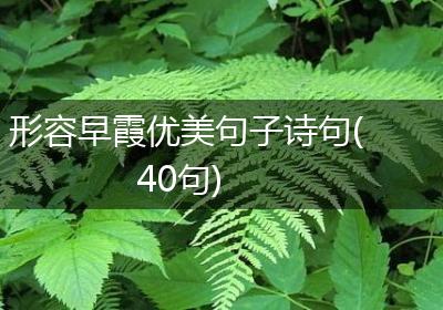 形容早霞优美句子诗句(40句)