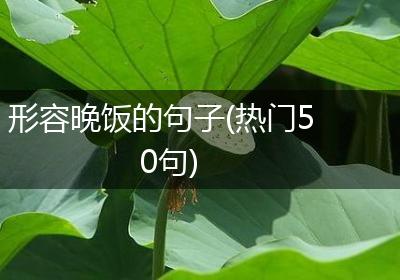 形容晚饭的句子(热门50句)