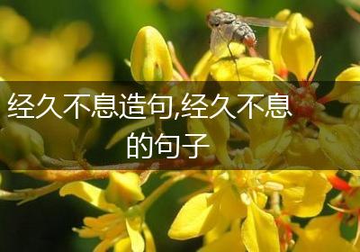 经久不息造句,经久不息的句子