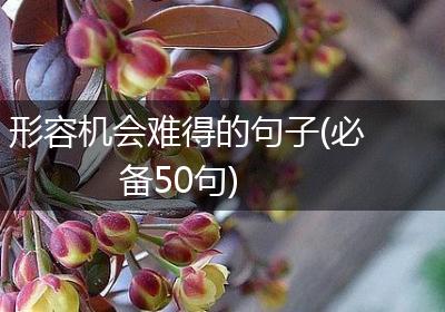形容机会难得的句子(必备50句)
