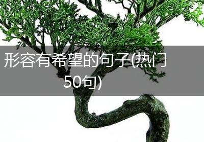 形容有希望的句子(热门50句)