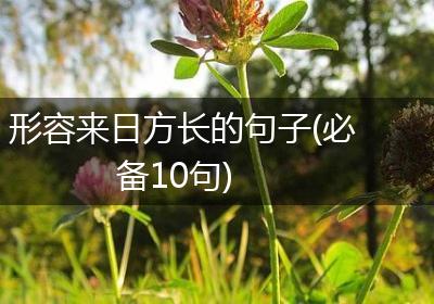 形容来日方长的句子(必备10句)
