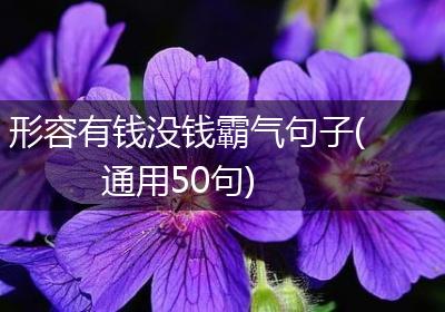 形容有钱没钱霸气句子(通用50句)