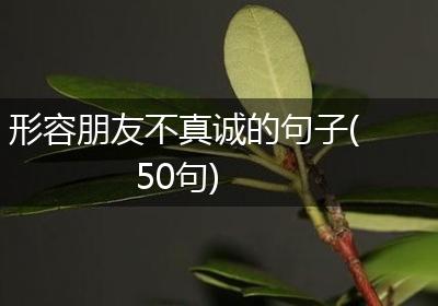 形容朋友不真诚的句子(50句)