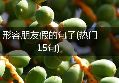形容朋友假的句子(热门15句)
