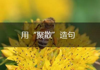 用“聚散”造句