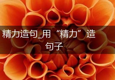 精力造句_用“精力”造句子