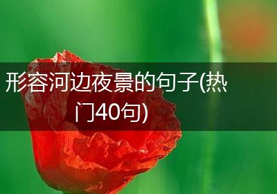 形容河边夜景的句子(热门40句)